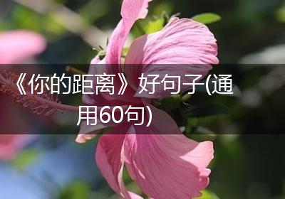 《你的距离》好句子(通用60句)