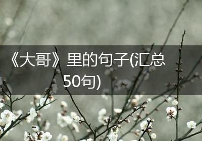 《大哥》里的句子(汇总50句)