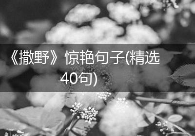 《撒野》惊艳句子(精选40句)