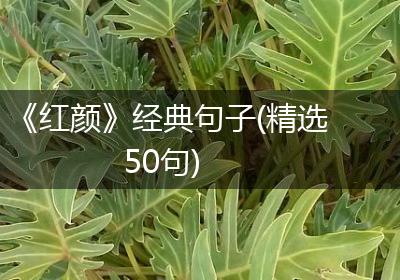 《红颜》经典句子(精选50句)