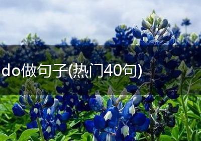 do做句子(热门40句)