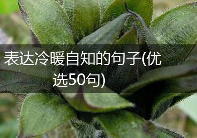 表达冷暖自知的句子(优选50句)