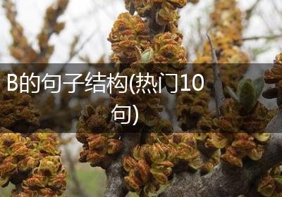 B的句子结构(热门10句)