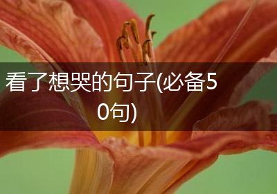 看了想哭的句子(必备50句)