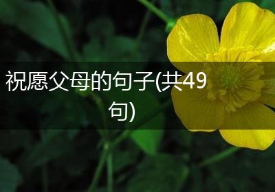 祝愿父母的句子(共49句)
