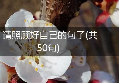 请照顾好自己的句子(共50句)