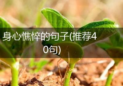 身心憔悴的句子(推荐40句)