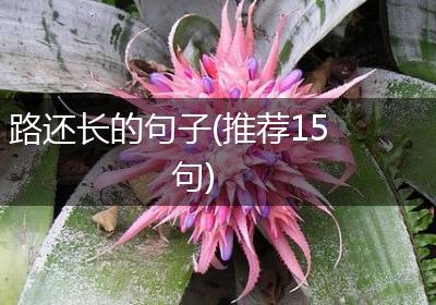 路还长的句子(推荐15句)