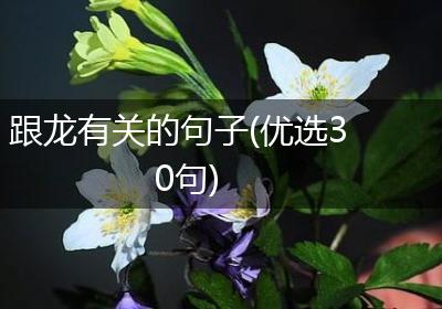 跟龙有关的句子(优选30句)