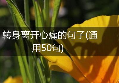 转身离开心痛的句子(通用50句)