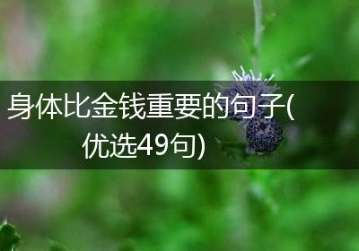身体比金钱重要的句子(优选49句)