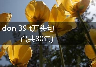 don 39 t开头句子(共80句)