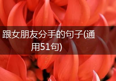 跟女朋友分手的句子(通用51句)