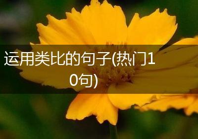 运用类比的句子(热门10句)