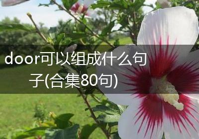 door可以组成什么句子(合集80句)