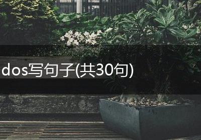 dos写句子(共30句)