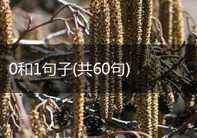0和1句子(共60句)