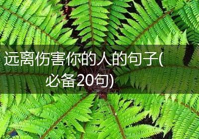 远离伤害你的人的句子(必备20句)