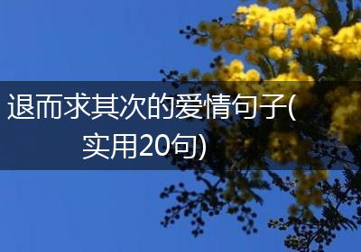 退而求其次的爱情句子(实用20句)