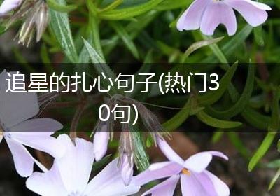 追星的扎心句子(热门30句)