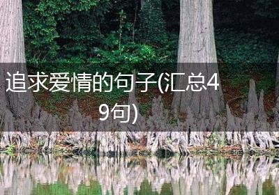 追求爱情的句子(汇总49句)