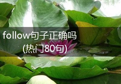 follow句子正确吗(热门80句)