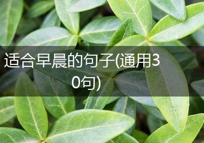 适合早晨的句子(通用30句)