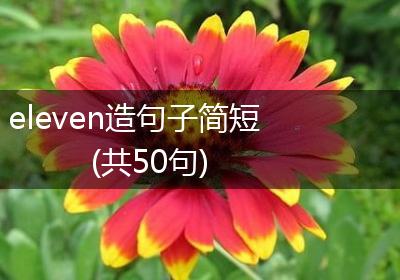 eleven造句子简短(共50句)