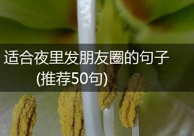 适合夜里发朋友圈的句子(推荐50句)