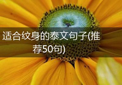 适合纹身的泰文句子(推荐50句)