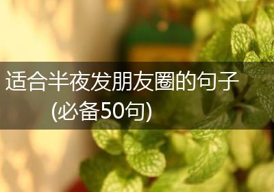 适合半夜发朋友圈的句子(必备50句)