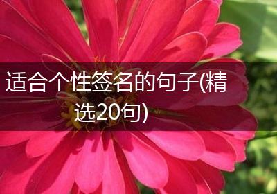 适合个性签名的句子(精选20句)