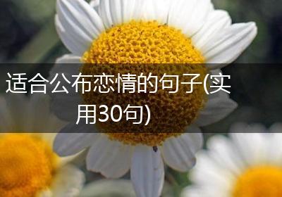 适合公布恋情的句子(实用30句)