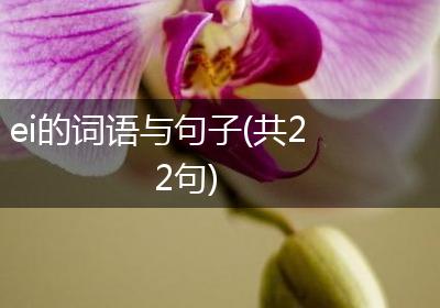 ei的词语与句子(共22句)
