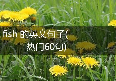 fish 的英文句子(热门60句)