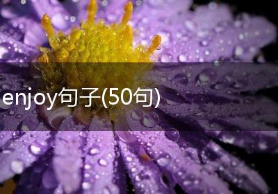 enjoy句子(50句)