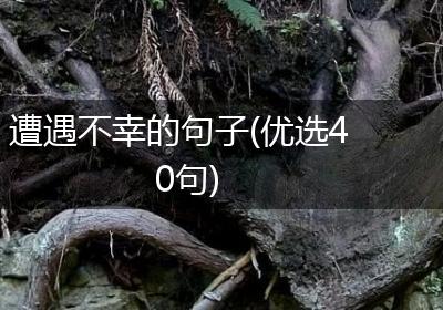 遭遇不幸的句子(优选40句)