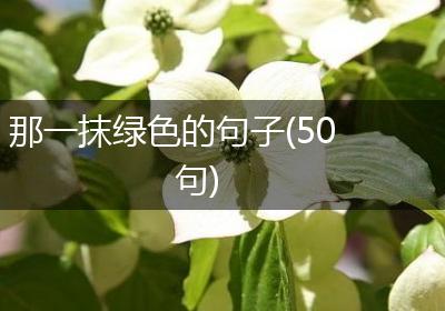 那一抹绿色的句子(50句)