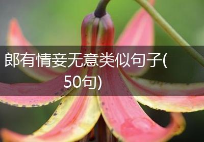郎有情妾无意类似句子(50句)