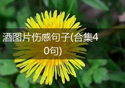 酒图片伤感句子(合集40句)