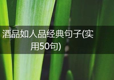 酒品如人品经典句子(实用50句)