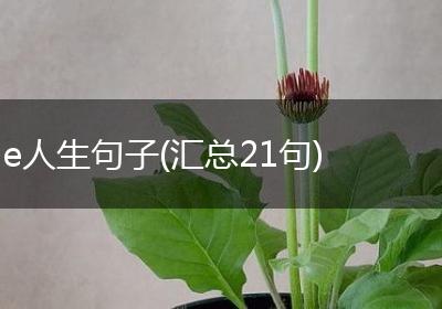 e人生句子(汇总21句)