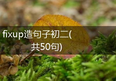 fixup造句子初二(共50句)