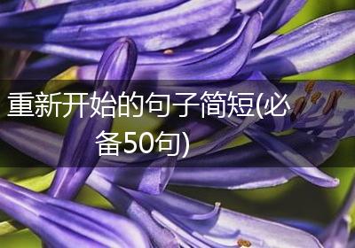 重新开始的句子简短(必备50句)