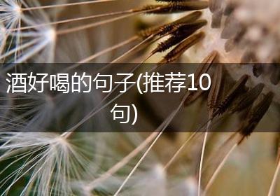 酒好喝的句子(推荐10句)