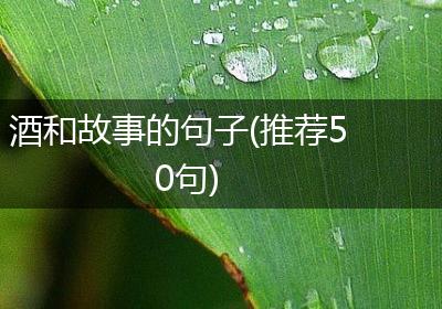 酒和故事的句子(推荐50句)