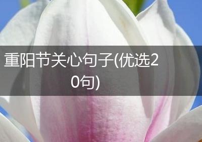 重阳节关心句子(优选20句)