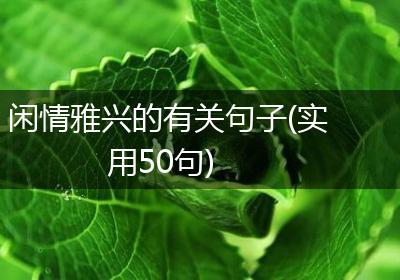闲情雅兴的有关句子(实用50句)