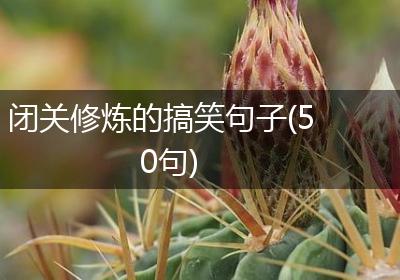 闭关修炼的搞笑句子(50句)