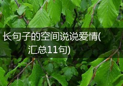 长句子的空间说说爱情(汇总11句)